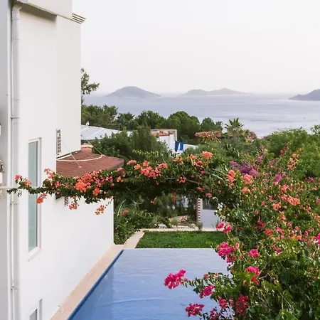 Eco Lalaland Villa Kalkan